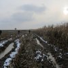 Szlaban Kozie 13.11.2016