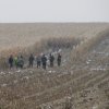 Szlaban Kozie 13.11.2016